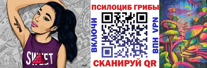 Купить где  Чегем  Псилоцибиновые грибы мицелий 